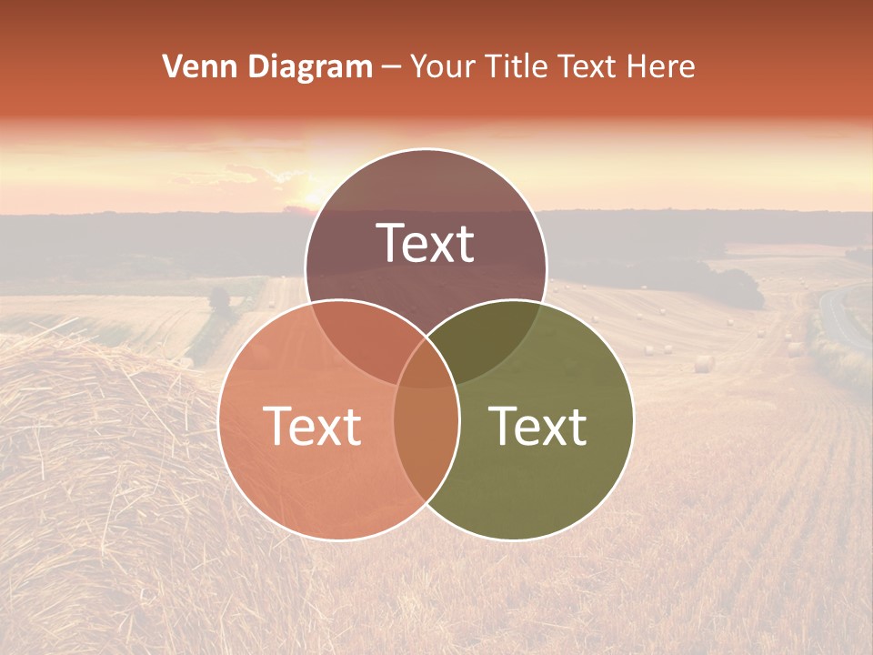 Straw Field PowerPoint Template