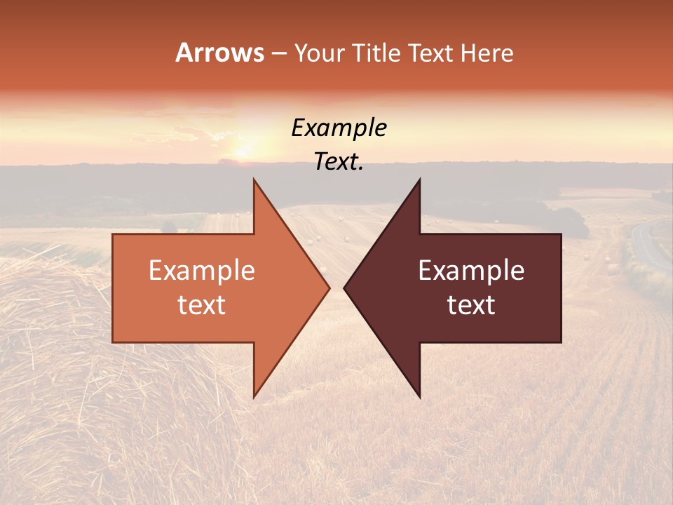 Straw Field PowerPoint Template