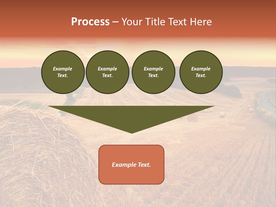 Straw Field PowerPoint Template