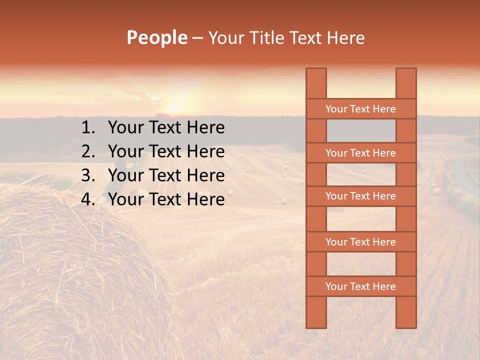 Straw Field PowerPoint Template