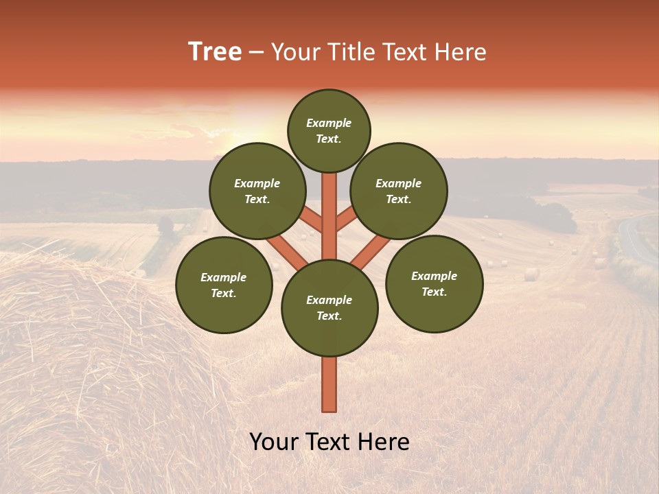 Straw Field PowerPoint Template