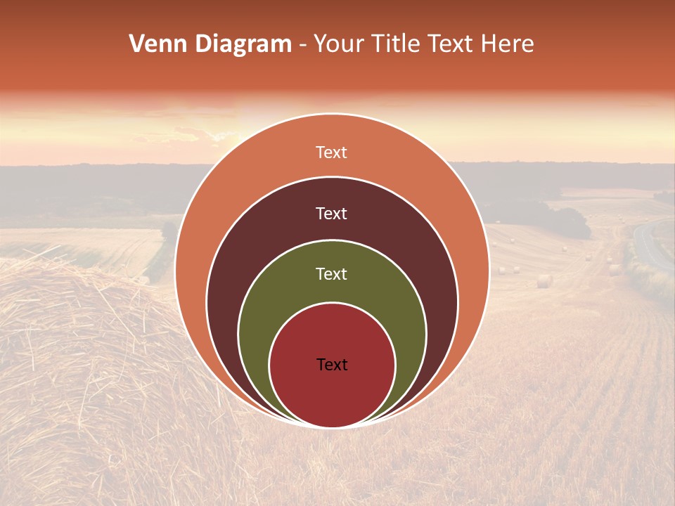 Straw Field PowerPoint Template