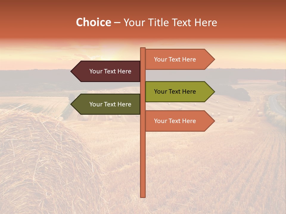 Straw Field PowerPoint Template