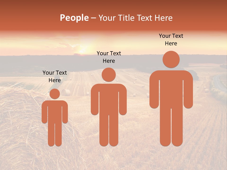 Straw Field PowerPoint Template