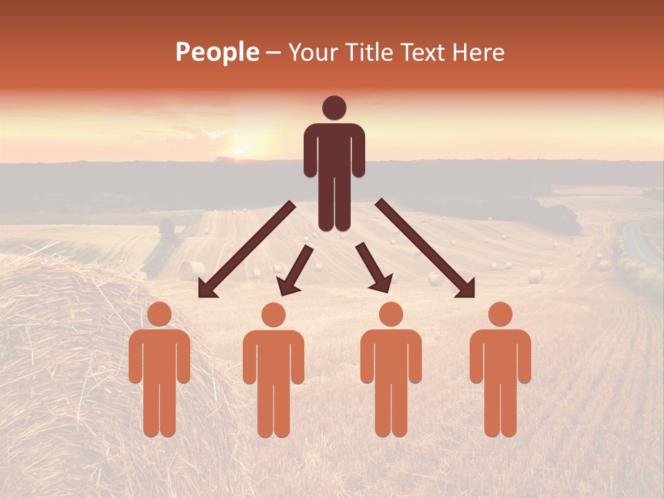 Straw Field PowerPoint Template