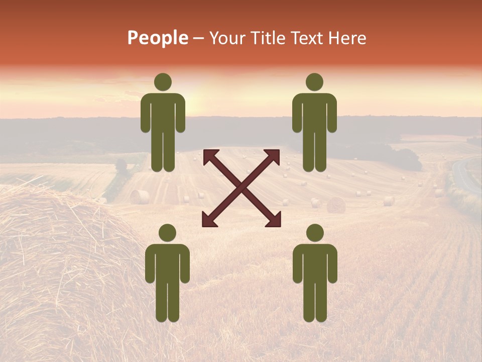 Straw Field PowerPoint Template