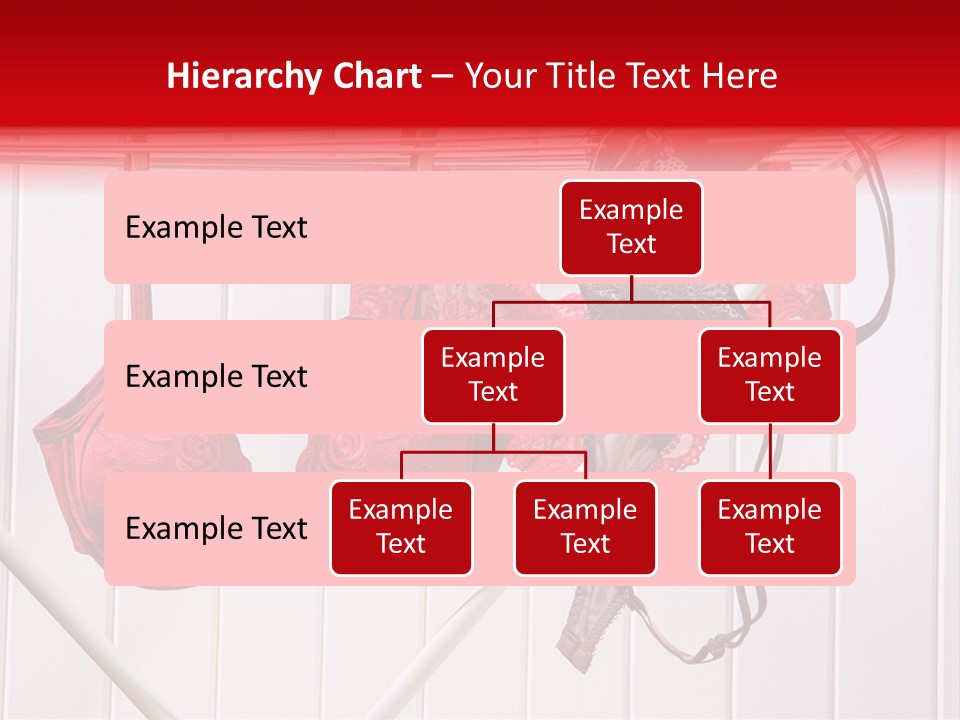 Panties Drying PowerPoint Template