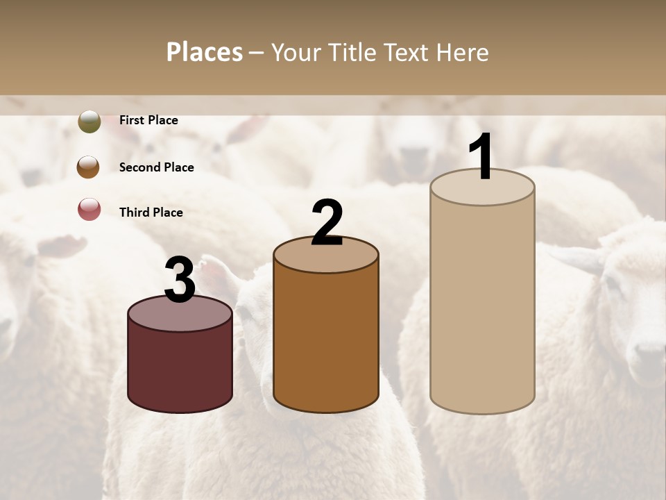 Sheep Herd PowerPoint Template