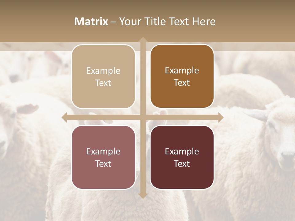 Sheep Herd PowerPoint Template