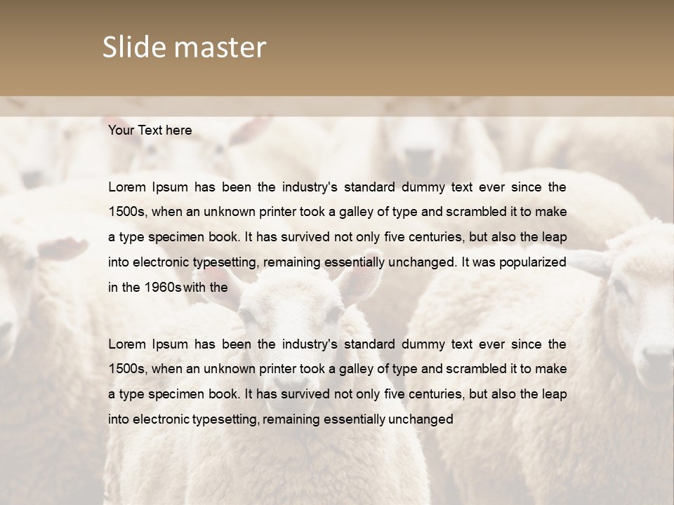 Sheep Herd PowerPoint Template