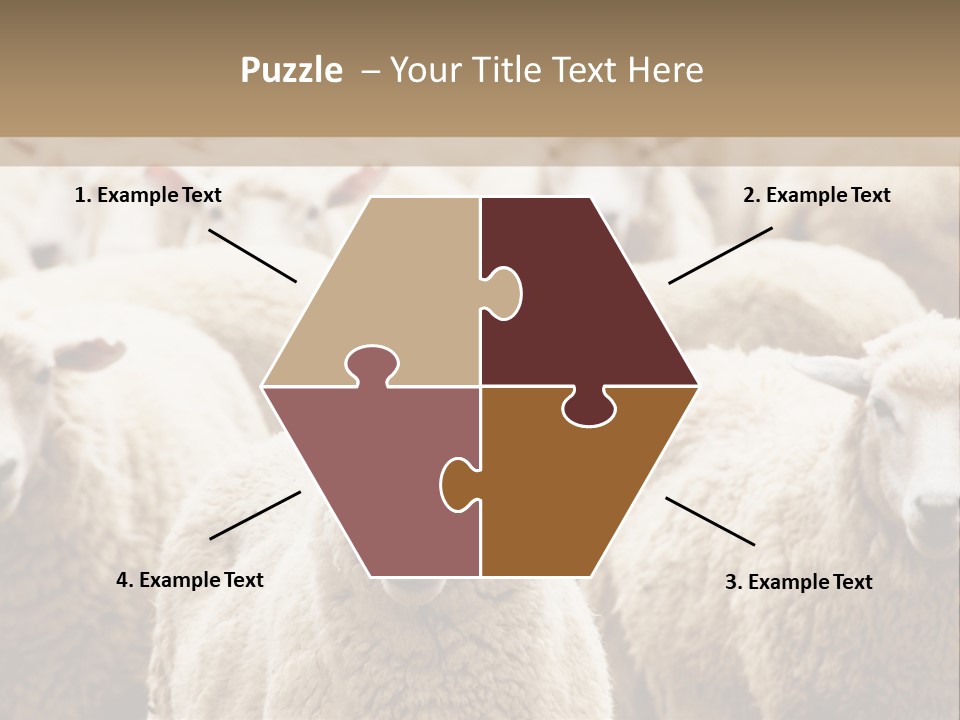 Sheep Herd PowerPoint Template