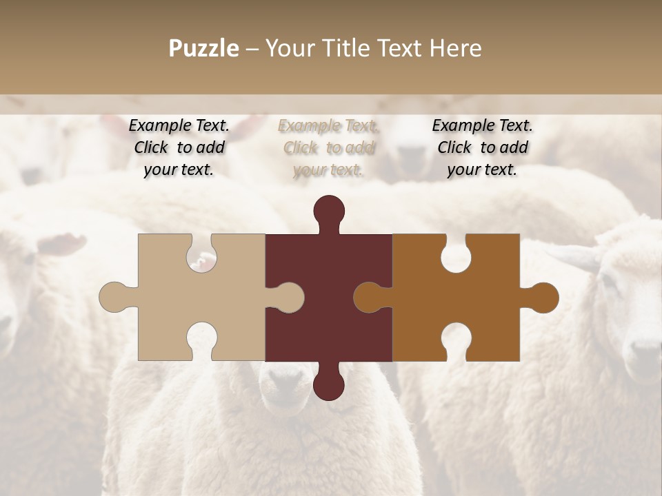 Sheep Herd PowerPoint Template