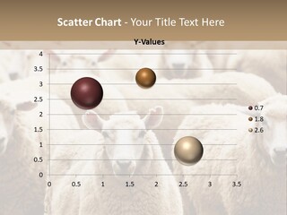 Sheep Herd PowerPoint Template