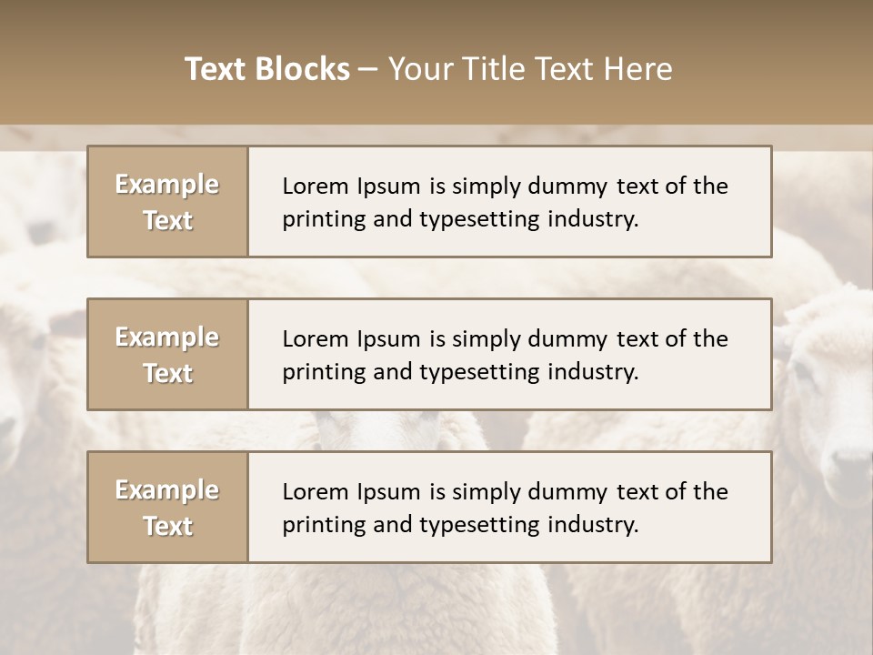 Sheep Herd PowerPoint Template