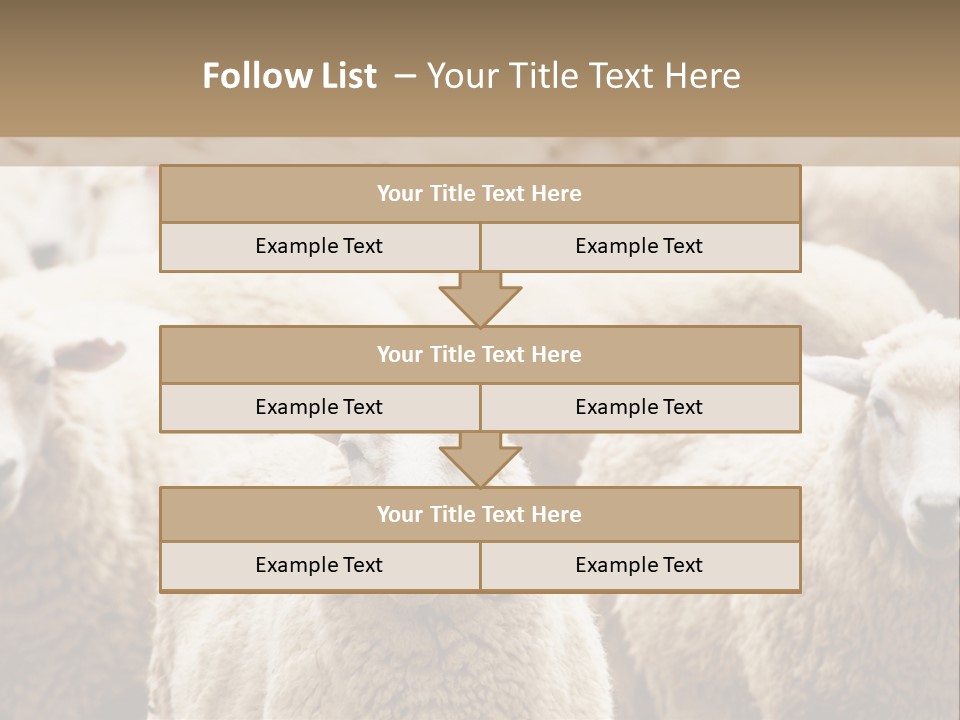 Sheep Herd PowerPoint Template