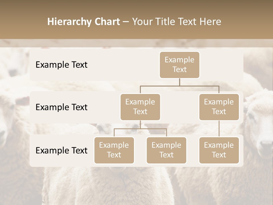Sheep Herd PowerPoint Template