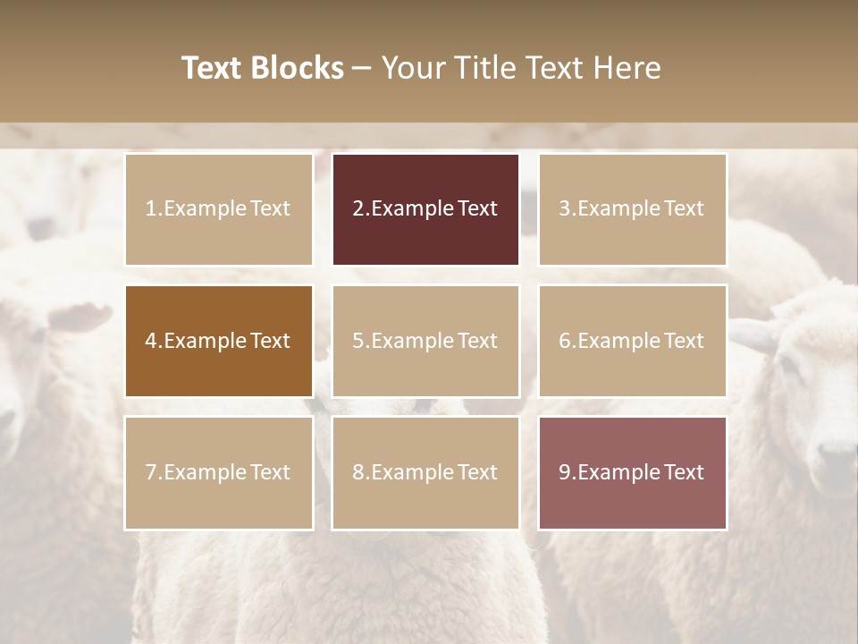 Sheep Herd PowerPoint Template