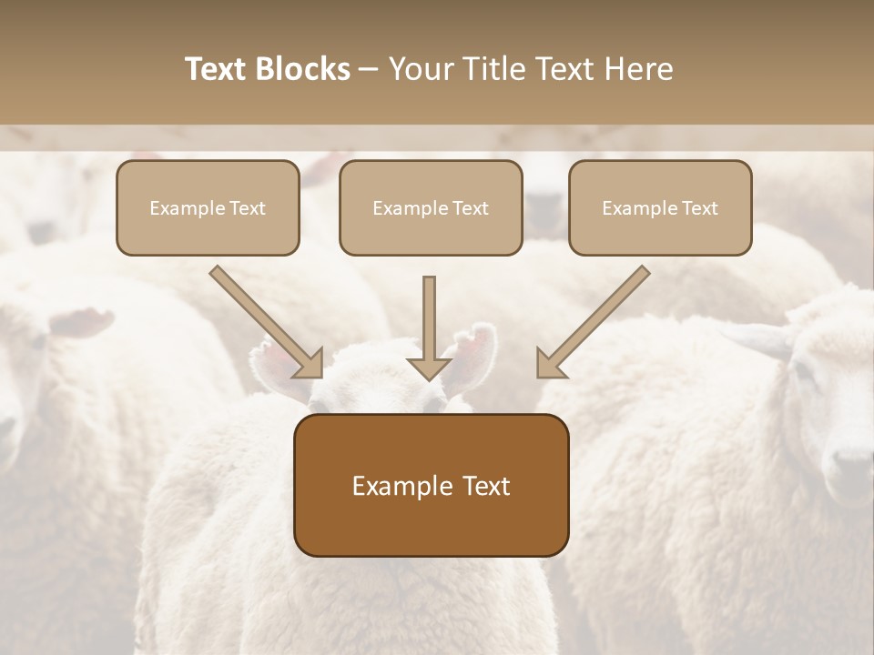 Sheep Herd PowerPoint Template