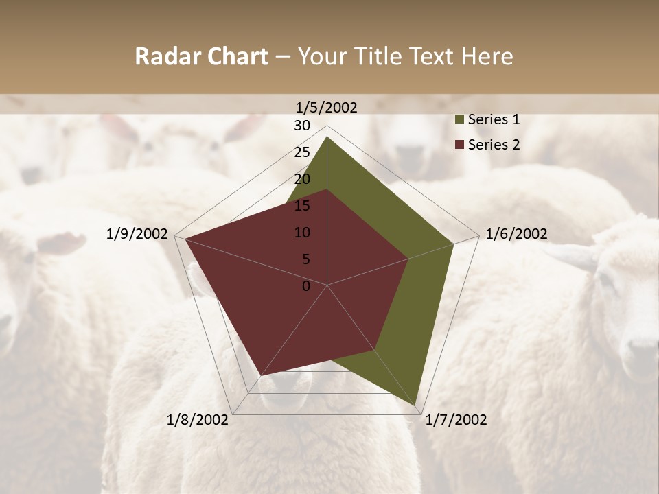Sheep Herd PowerPoint Template