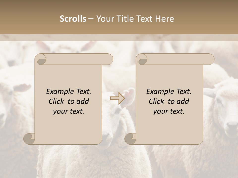 Sheep Herd PowerPoint Template
