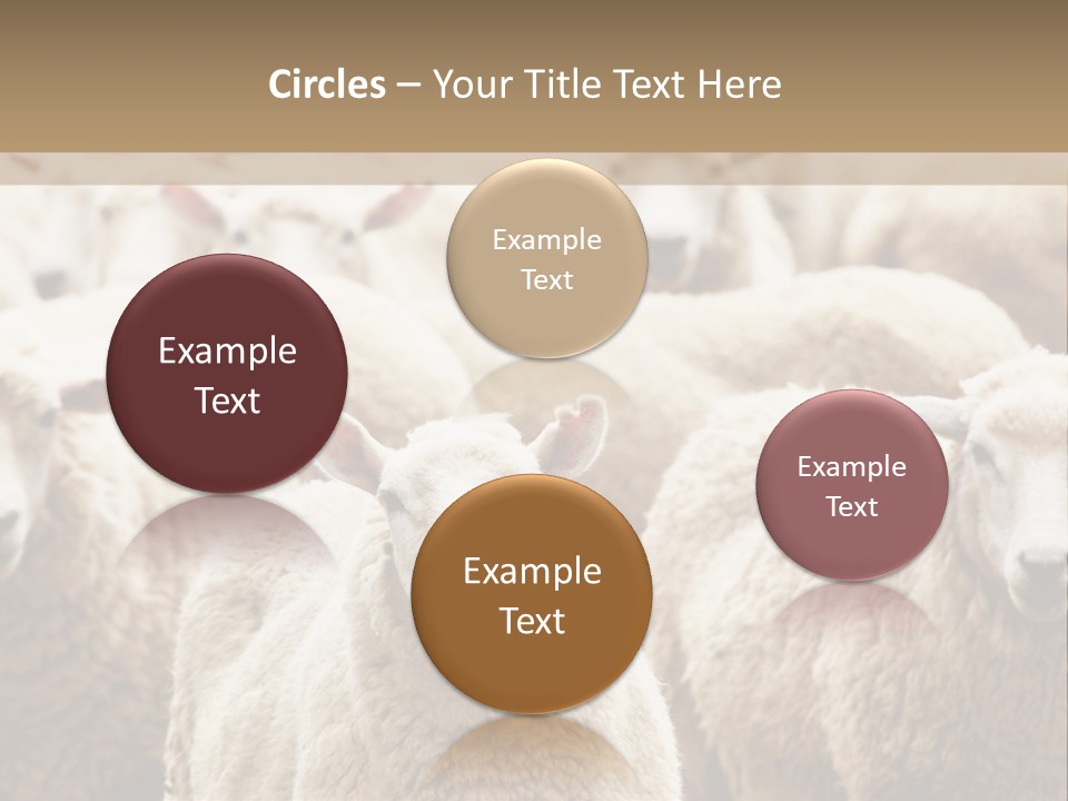 Sheep Herd PowerPoint Template