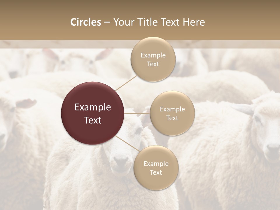 Sheep Herd PowerPoint Template
