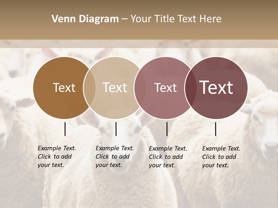Sheep Herd PowerPoint Template