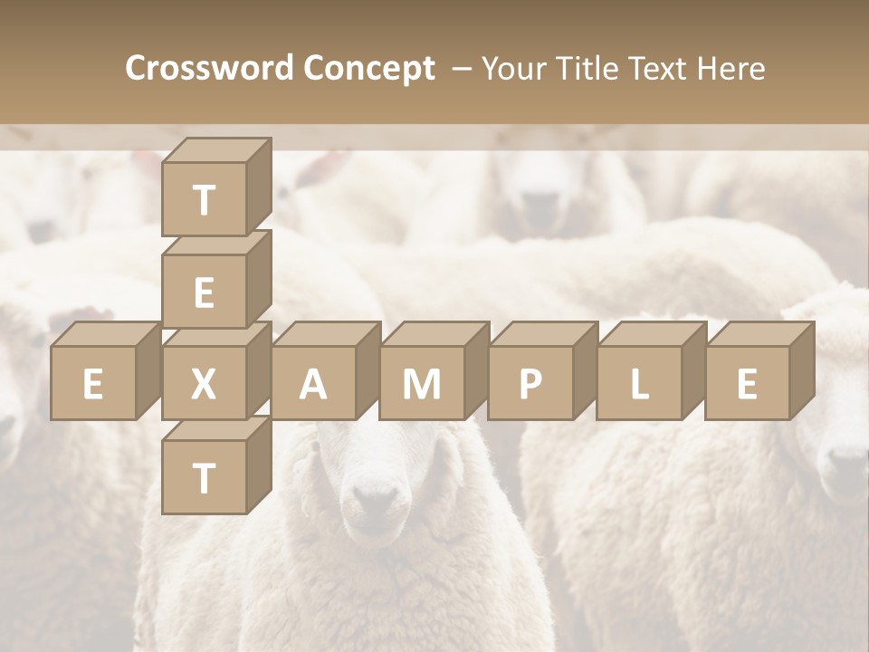 Sheep Herd PowerPoint Template