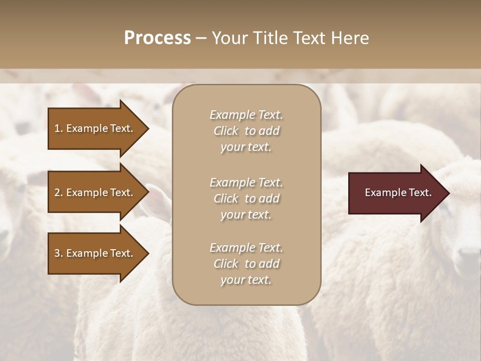 Sheep Herd PowerPoint Template