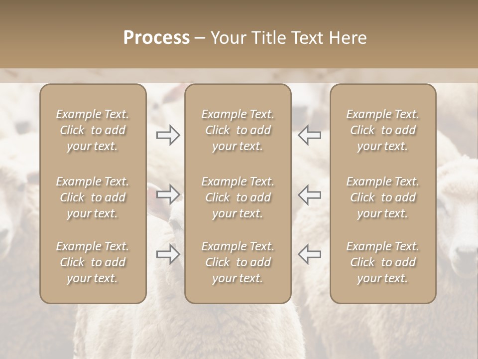 Sheep Herd PowerPoint Template