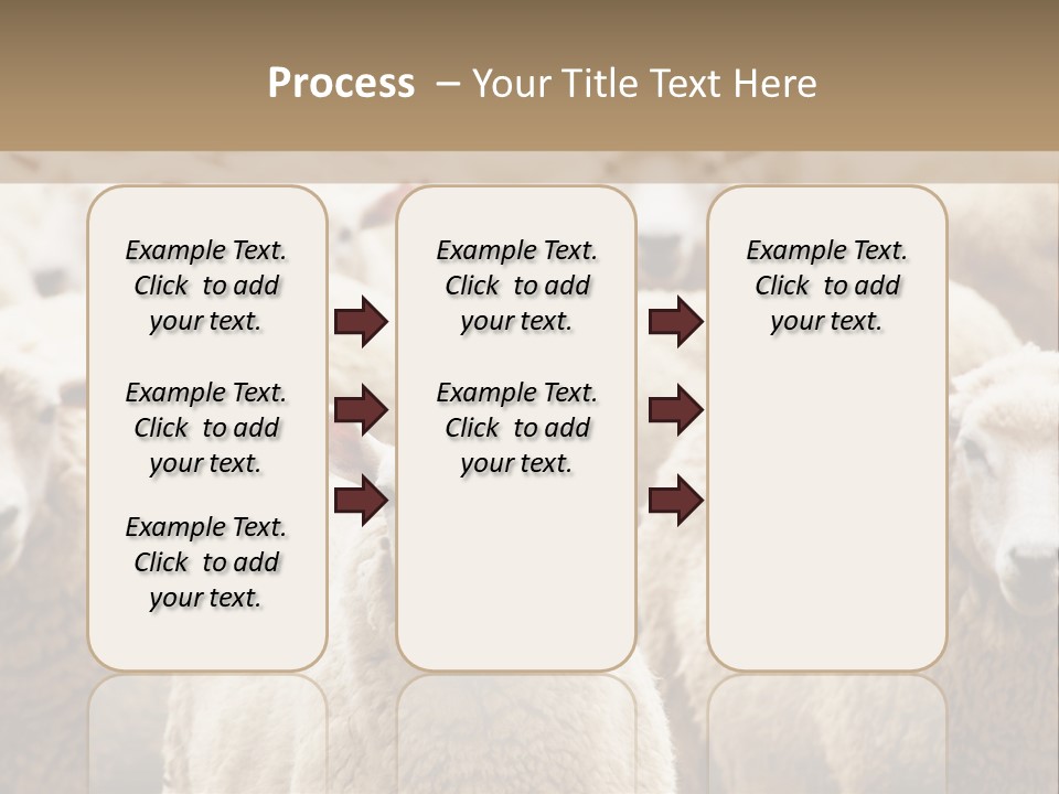 Sheep Herd PowerPoint Template
