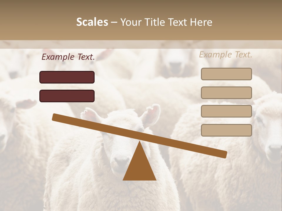 Sheep Herd PowerPoint Template