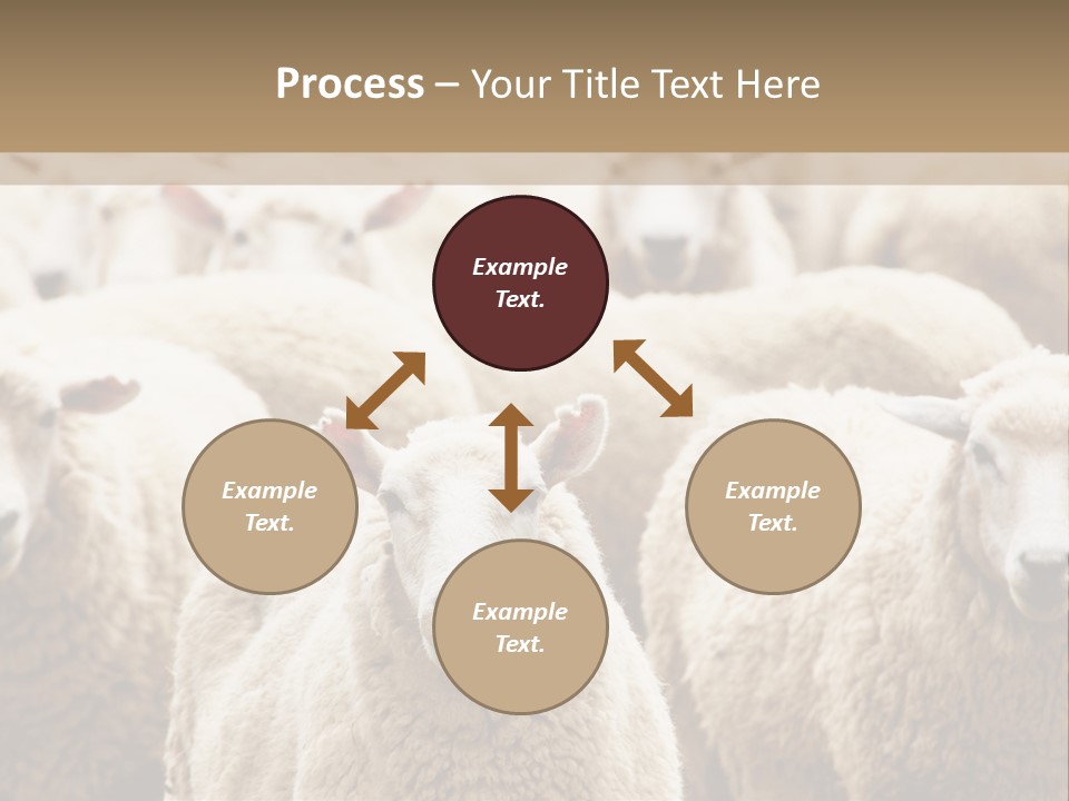 Sheep Herd PowerPoint Template
