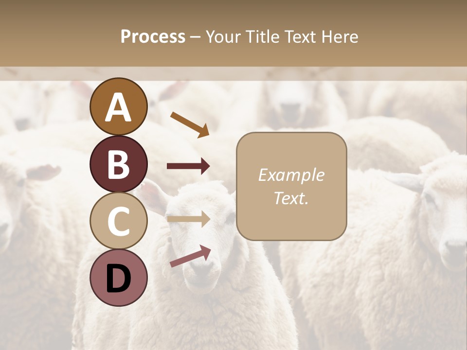 Sheep Herd PowerPoint Template