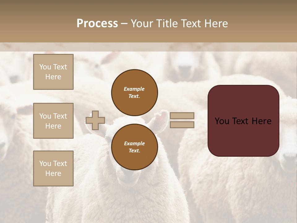 Sheep Herd PowerPoint Template
