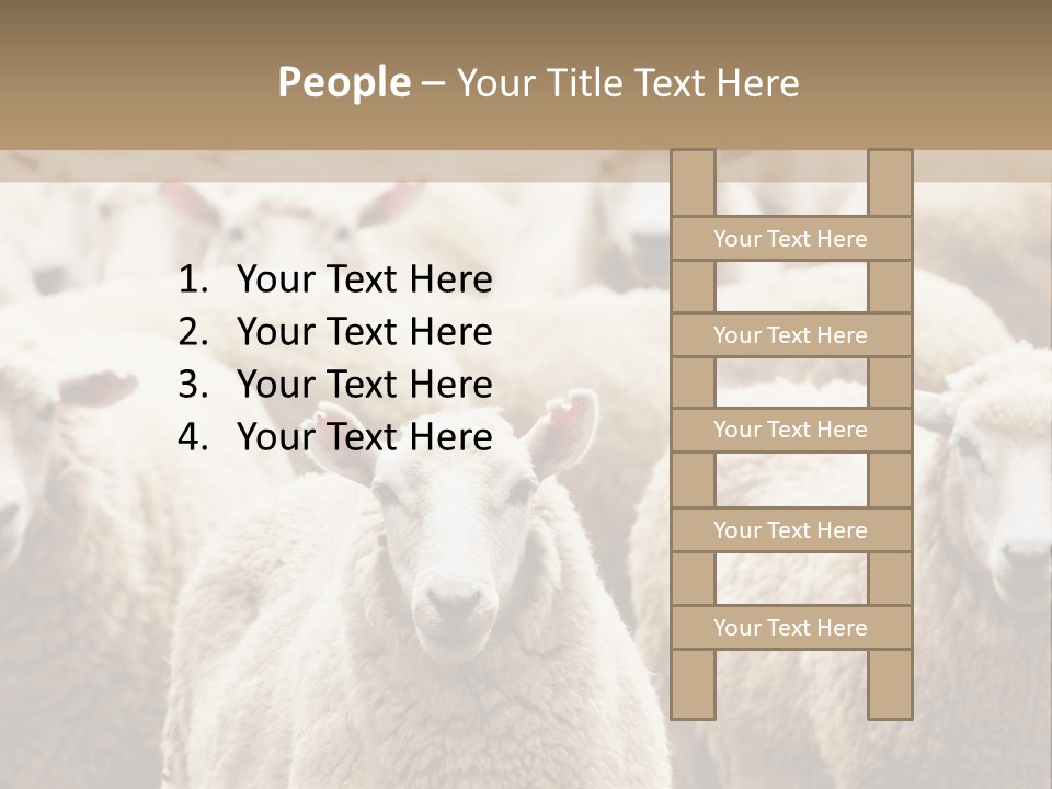Sheep Herd PowerPoint Template