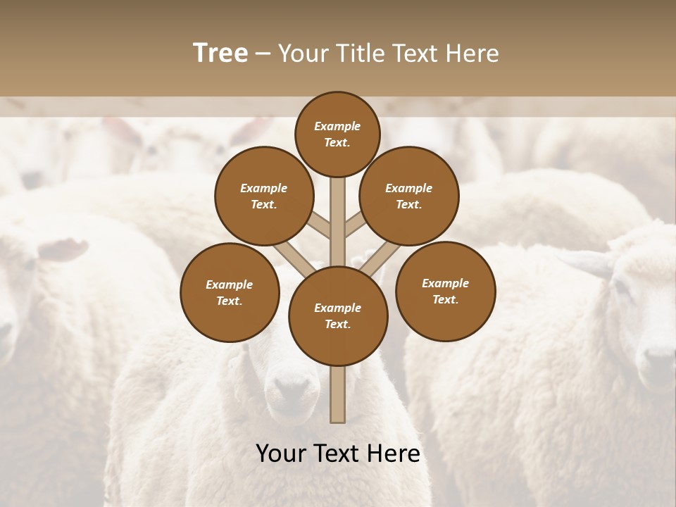 Sheep Herd PowerPoint Template