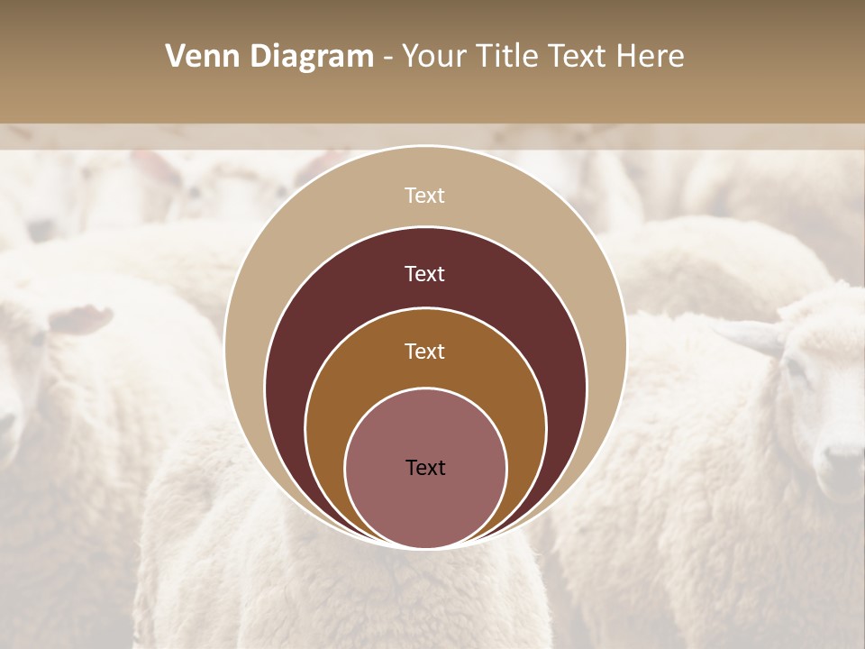 Sheep Herd PowerPoint Template