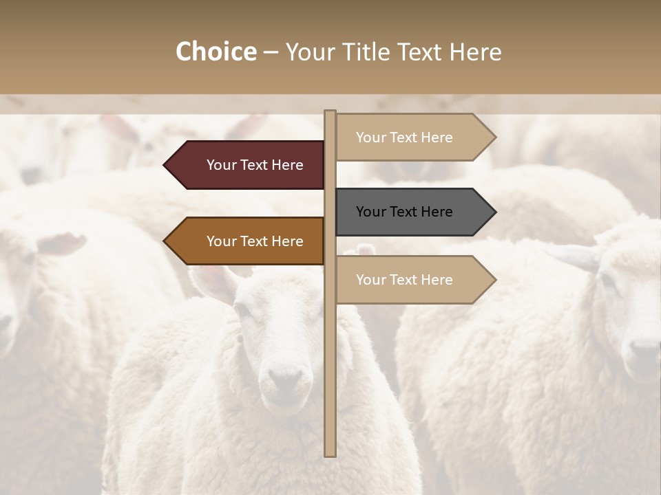 Sheep Herd PowerPoint Template