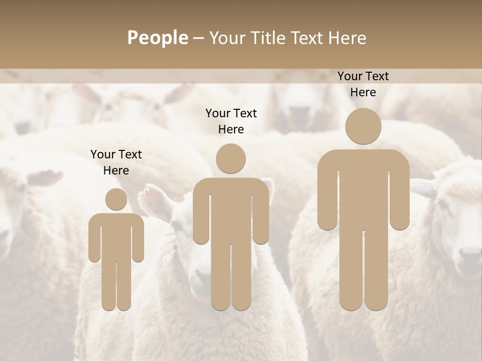 Sheep Herd PowerPoint Template