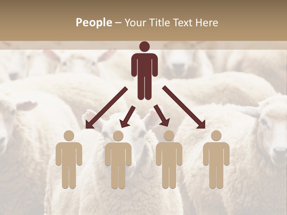 Sheep Herd PowerPoint Template