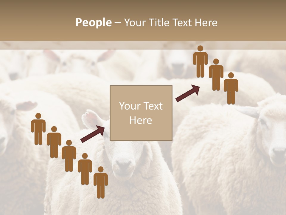 Sheep Herd PowerPoint Template