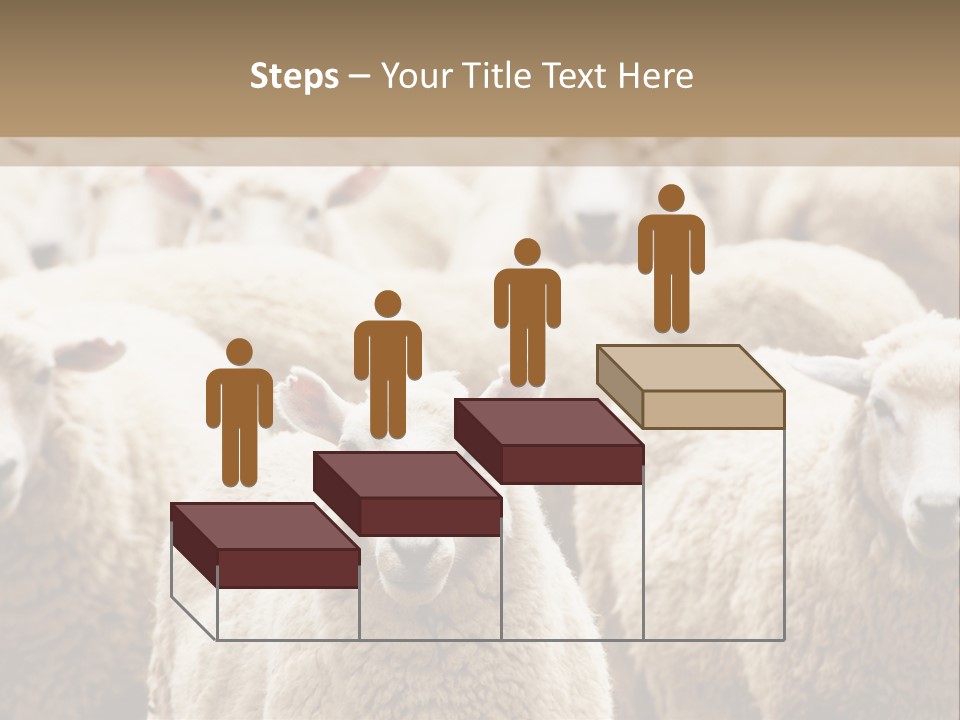 Sheep Herd PowerPoint Template