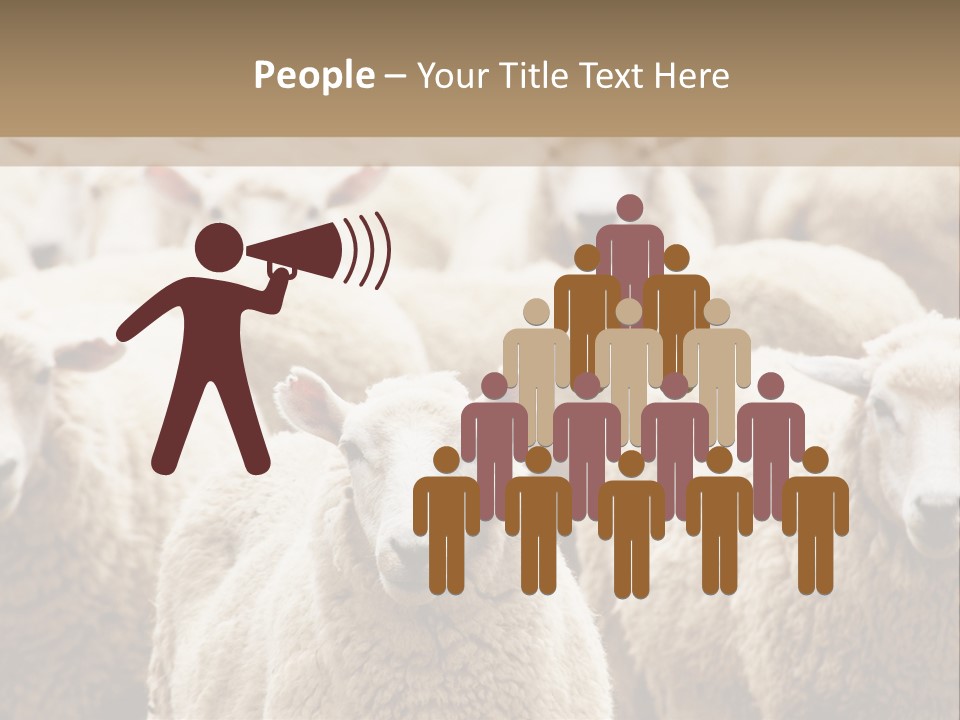 Sheep Herd PowerPoint Template