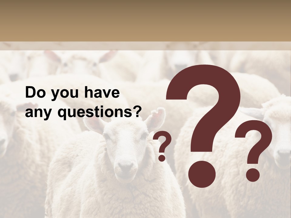 Sheep Herd PowerPoint Template