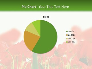 Red Tulips PowerPoint Template