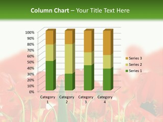 Red Tulips PowerPoint Template