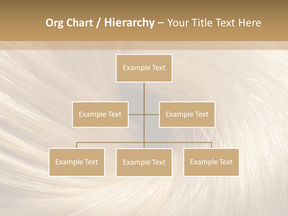 Background Hair PowerPoint Template