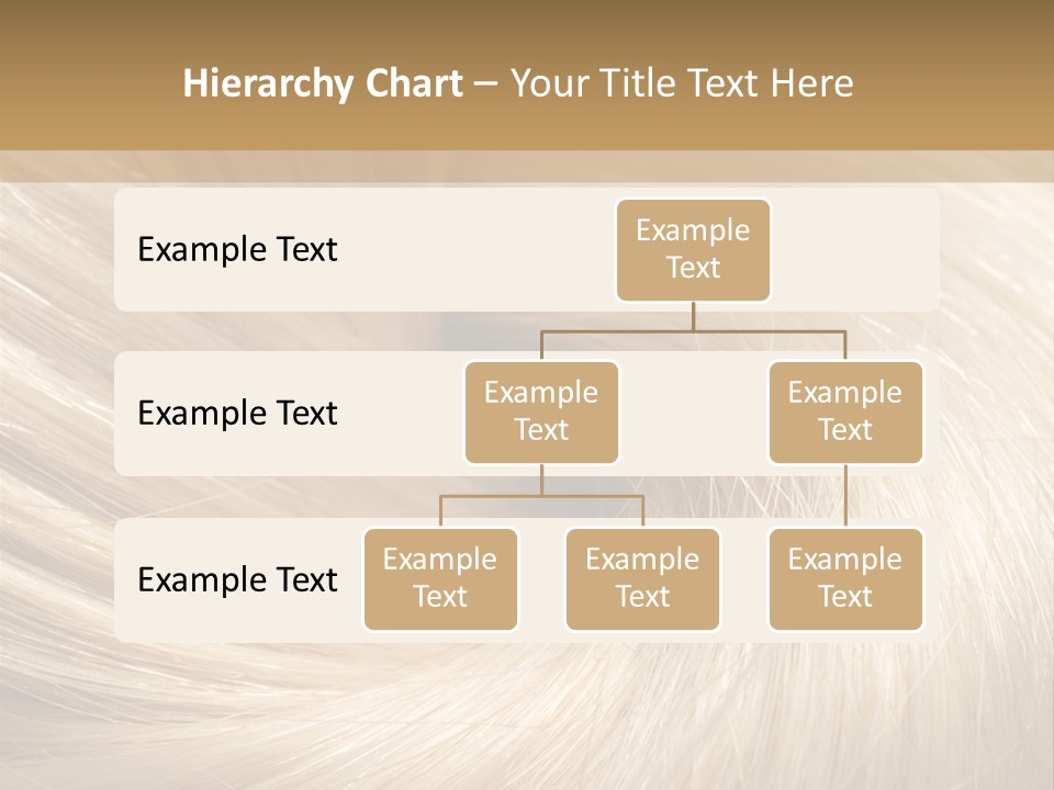Background Hair PowerPoint Template