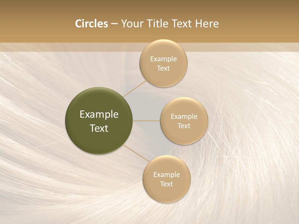 Background Hair PowerPoint Template